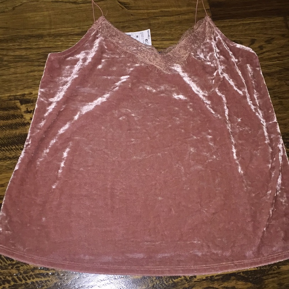 Rose Velvet Top
